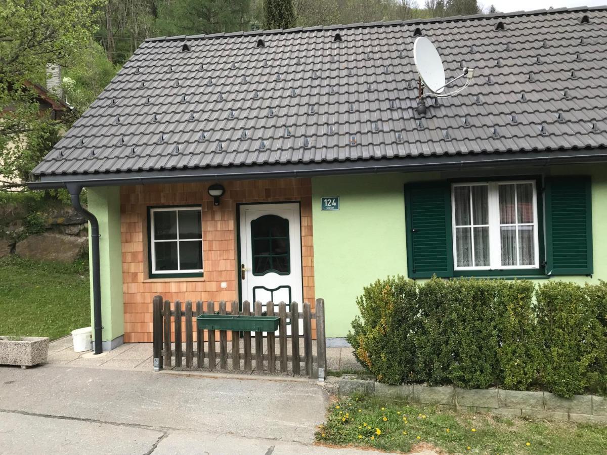 Ferienhaus Stolz Sankt Peter am Kammersberg Esterno foto